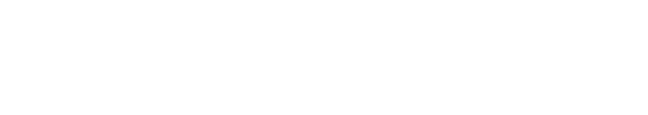 Watcher